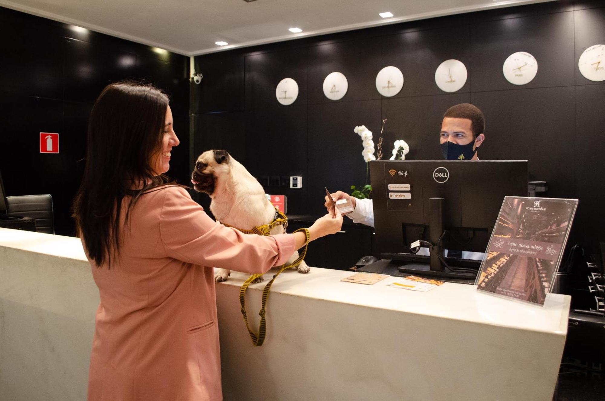Royal Boutique Savassi Hotel Belo Horizonte Exterior foto A woman checking in at a hotel with her dog